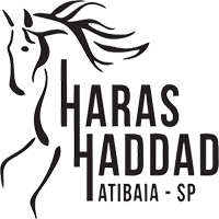 Haras Haddad 