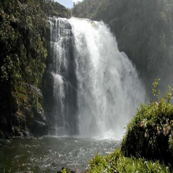 Cachoeira de Bracuí 