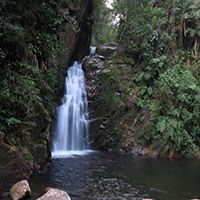 Trilha da Esmeralda - Parque Estadual N�cleo Caraguatatuba 