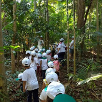 Propriedades Agroflorestais e Turismo de Viv�ncia