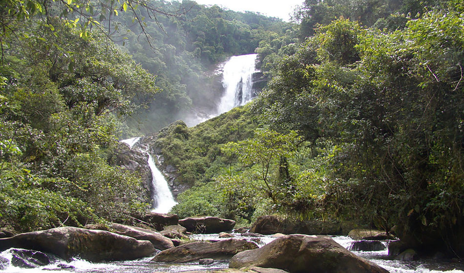#dicadasemana Conheça o Parque Nacional da Serra da Bocaina entre SP e RJ 